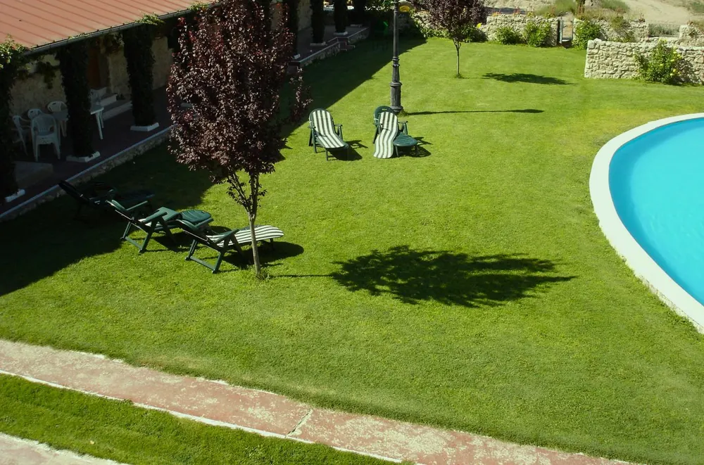 Jardines con césped, tumbonas y piscina